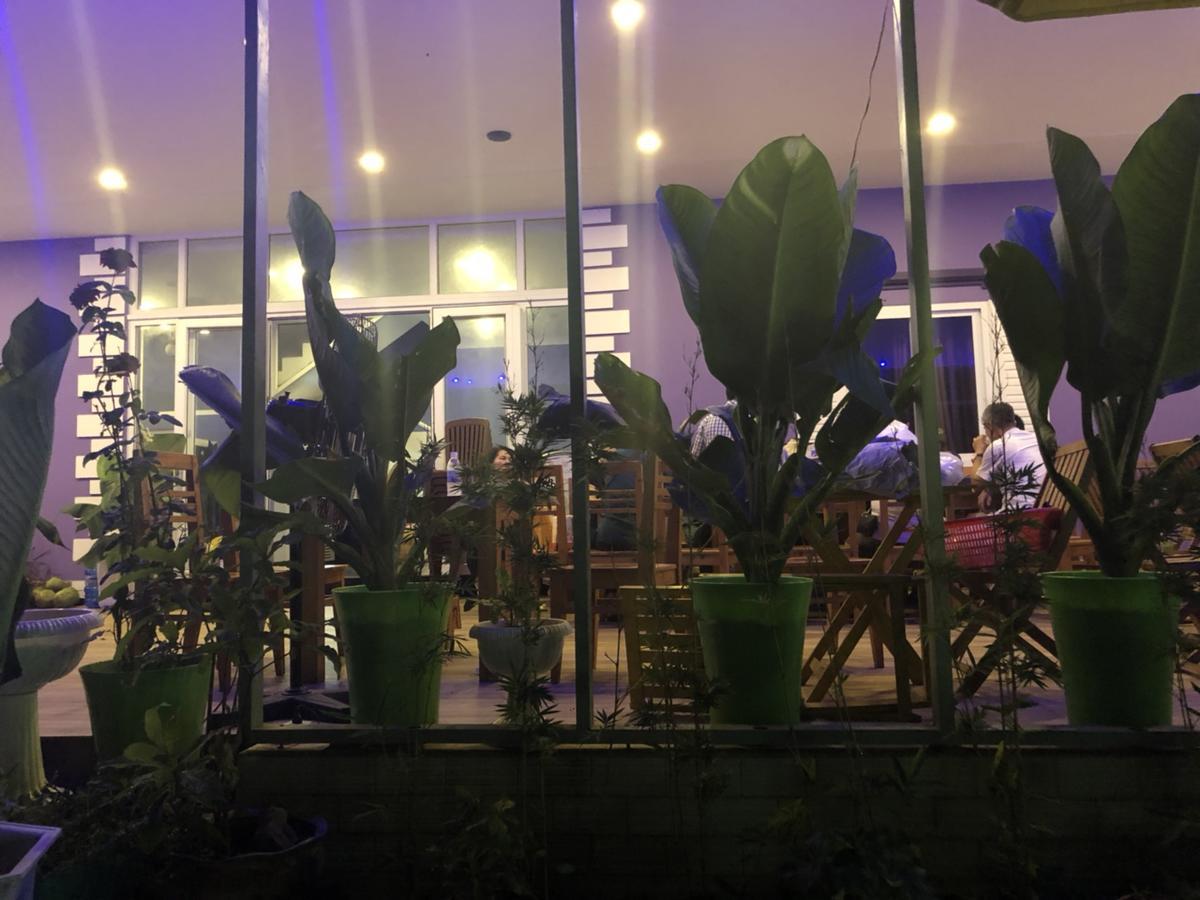 Q Songchi Hotel Chi Khu Co Ong Exterior foto